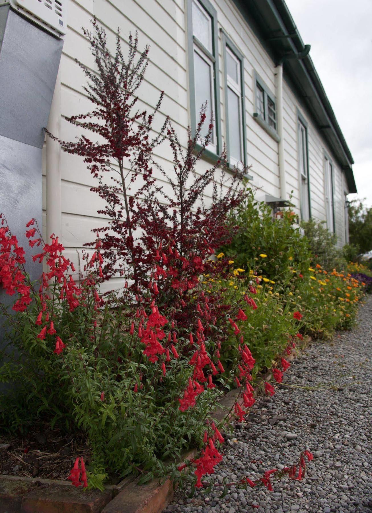Pinedale Lodge & Apartment Methven Exterior foto