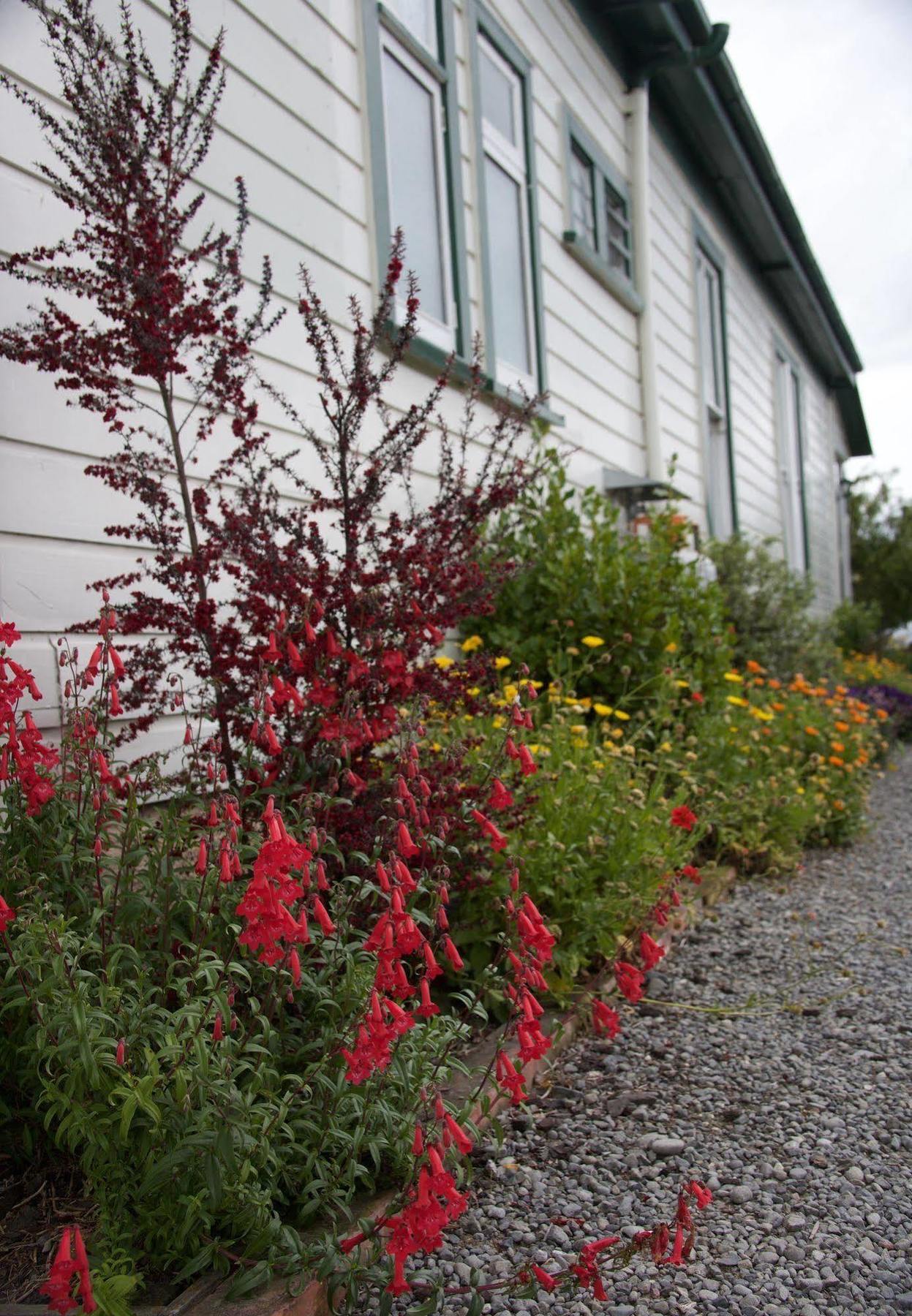 Pinedale Lodge & Apartment Methven Exterior foto
